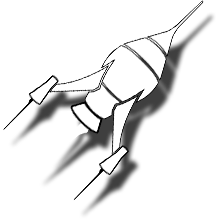 personal thoughts logo